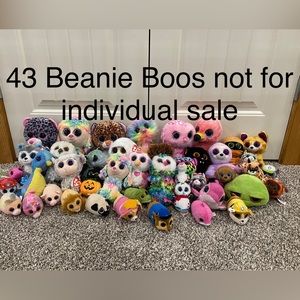 43 Beanie Boos